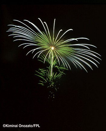 Marguerite with Love